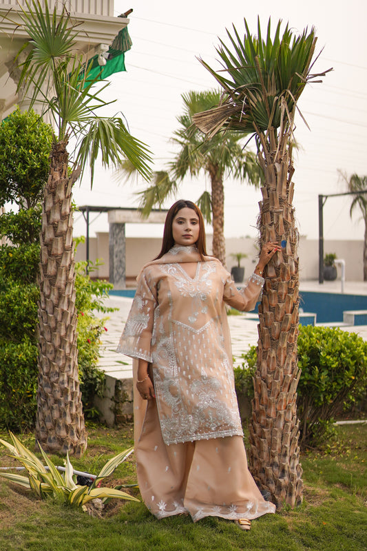 Noor-e-Zar - 3pc