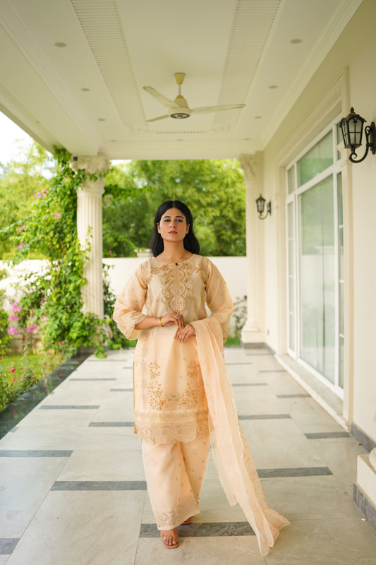 Arohi – 3PC